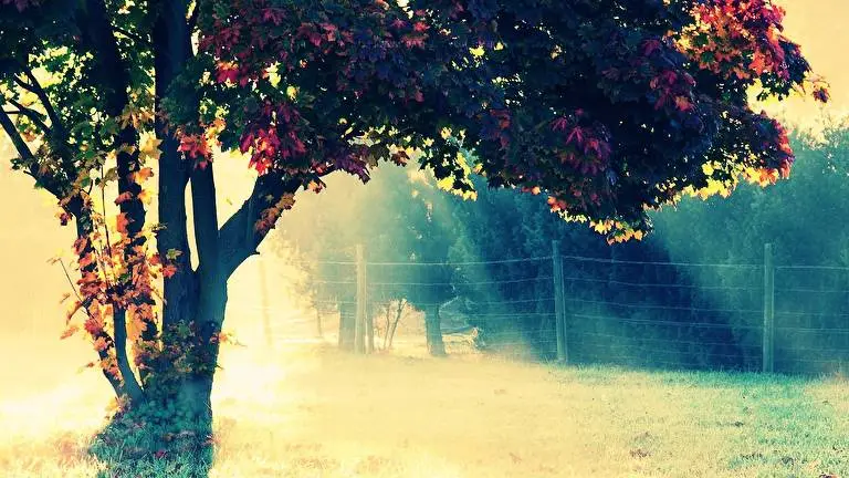 Photography theme for Windows 11 Slideshow image 2