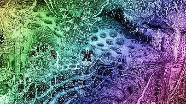 Psychedelic theme for Windows 11 Slideshow image 2