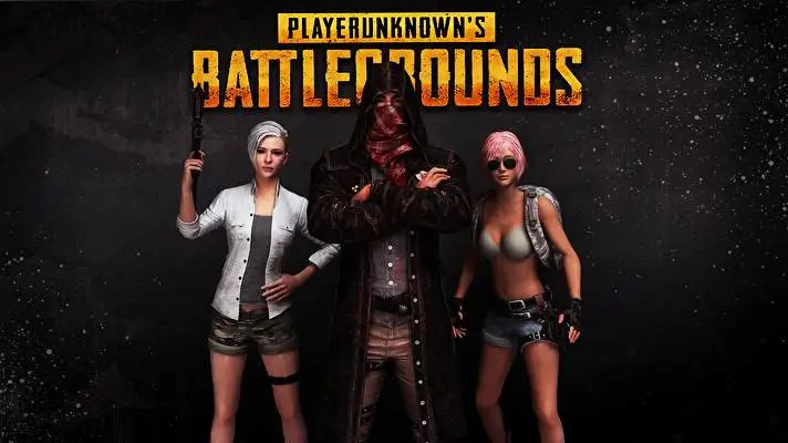 Pubg theme for Windows 11 Slideshow image 1