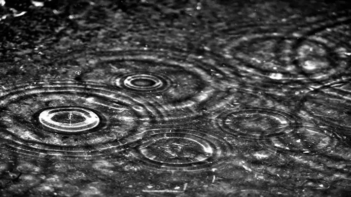 Rain theme for Windows 11 Slideshow image 1