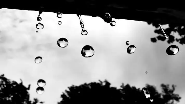 Rain theme for Windows 11 Slideshow image 4