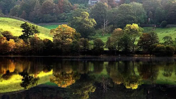 Reflection theme for Windows 11 Slideshow image 1