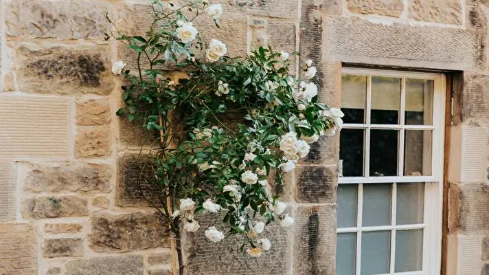 Rustic Walls and Windows theme for Windows 11 Slideshow image 5