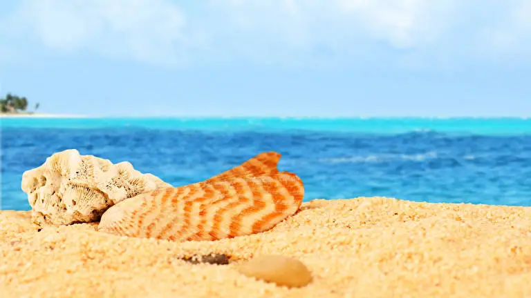 Sand And Ocean theme for Windows 11 Slideshow image 4