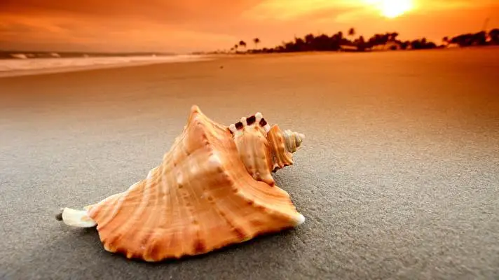 Shell theme for Windows 11 Slideshow image 2