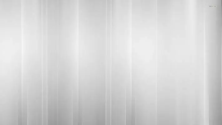 Silver theme for Windows 11 Slideshow image 1