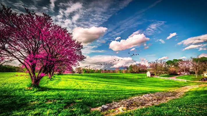 Spring theme for Windows 11 Slideshow image 2