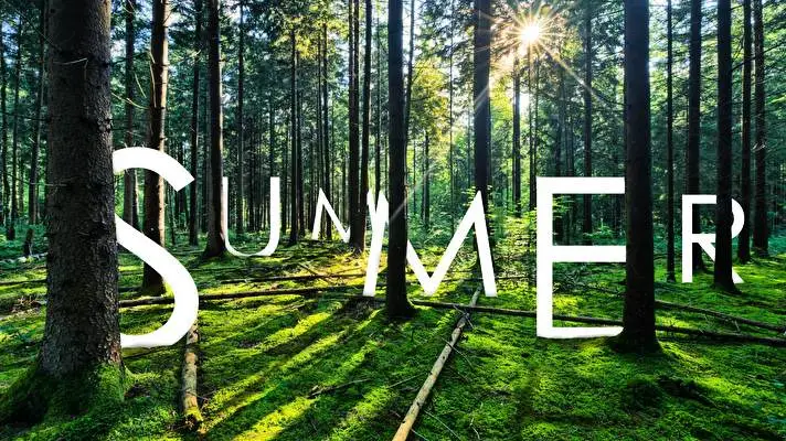 Summer theme for Windows 11 Slideshow image 2