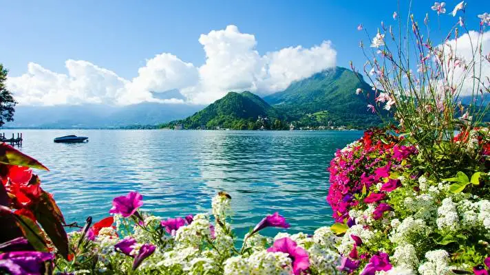 Summer theme for Windows 11 Slideshow image 5