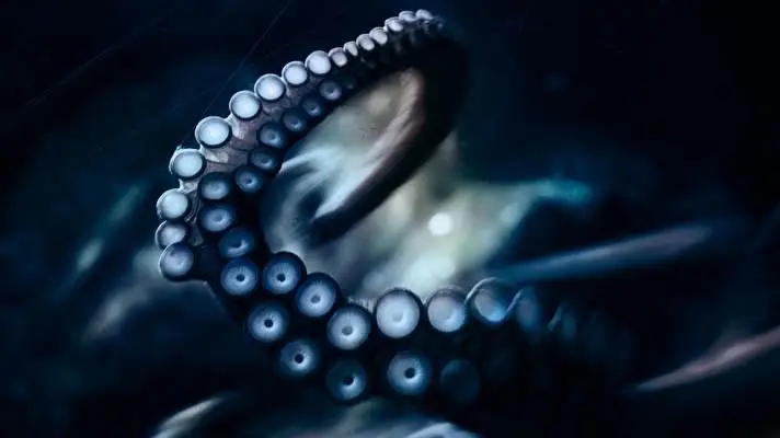 Tentacles theme for Windows 11 Slideshow image 2