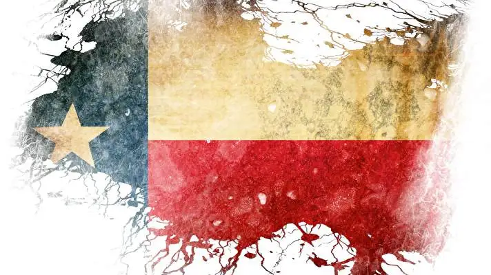 Texas theme for Windows 11 Slideshow image 1