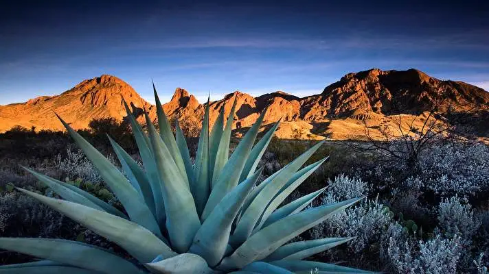 Texas theme for Windows 11 Slideshow image 4