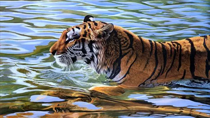 Tiger theme for Windows 11 Slideshow image 2