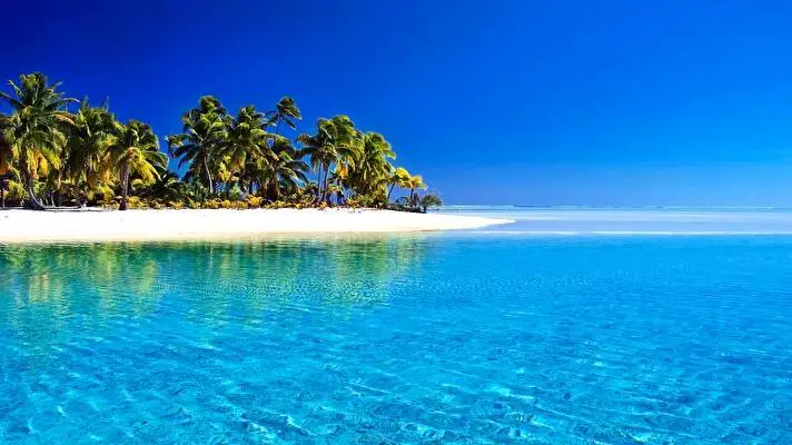 Tropical theme for Windows 11 Slideshow image 2