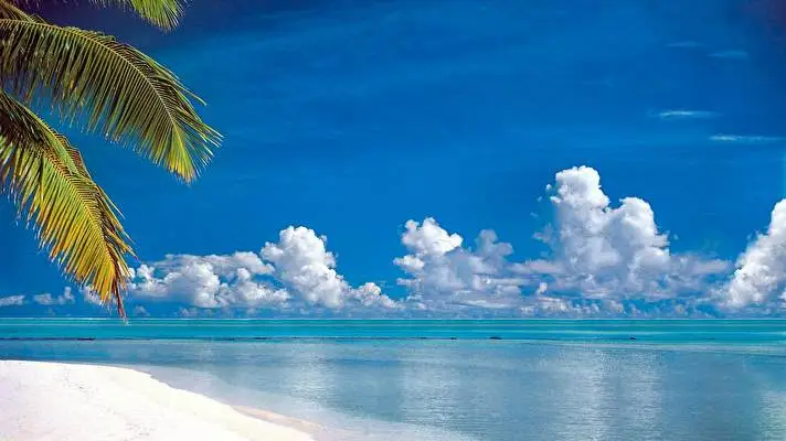 Tropical theme for Windows 11 Slideshow image 3