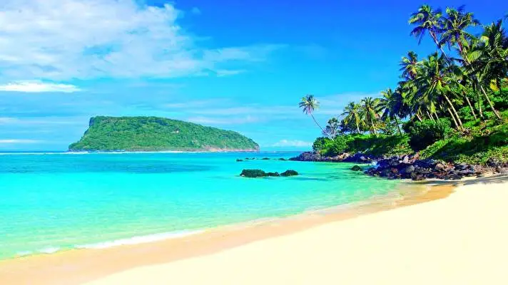 Tropical theme for Windows 11 Slideshow image 5