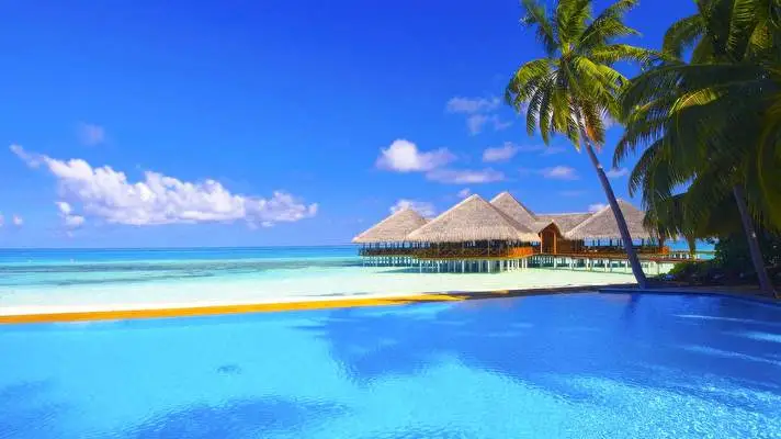 Tropical Paradise theme for Windows 11 Slideshow image 4