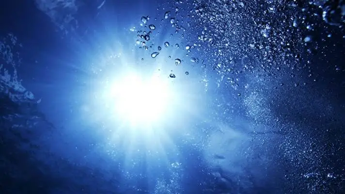 Underwater theme for Windows 11 Slideshow image 2