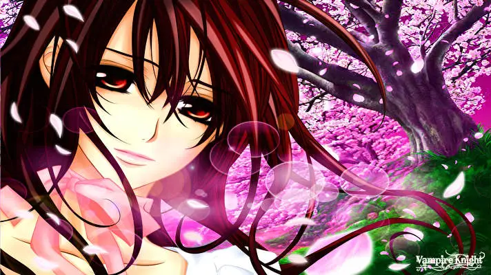 Vampire Knight theme for Windows 11 Slideshow image 3