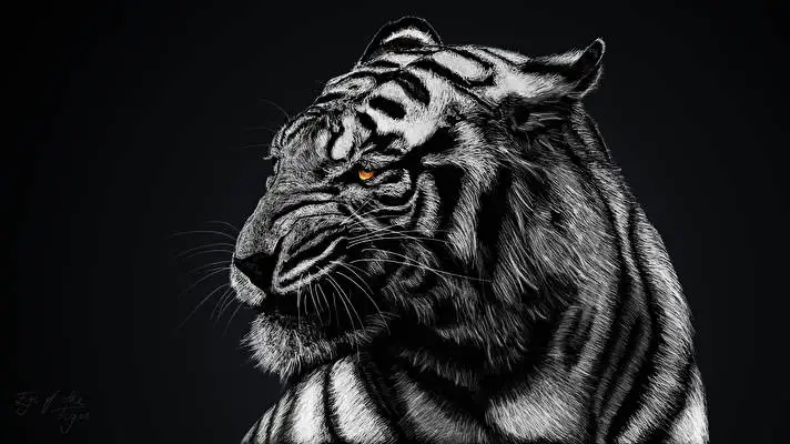 White Tiger theme for Windows 11 Slideshow image 4