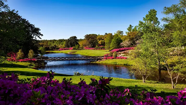 Windows 11 Nature Escape theme for Windows 11 Slideshow image 4