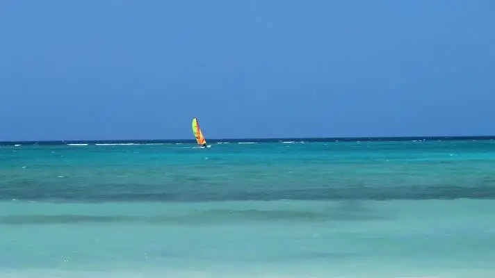 Windsurfing theme for Windows 11 Slideshow image 1