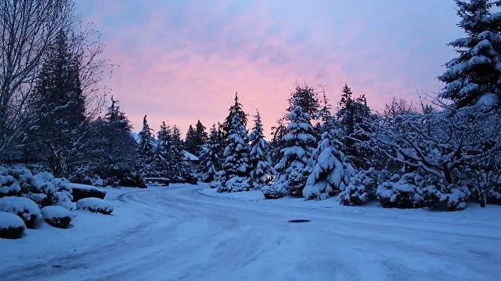 Winter theme for Windows 11 Slideshow image 1