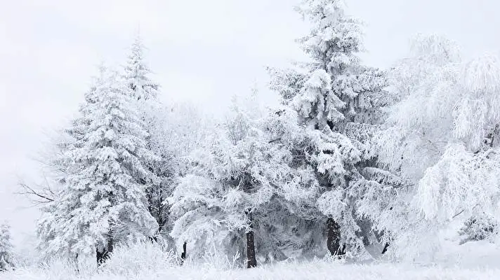 Winter theme for Windows 11 Slideshow image 2