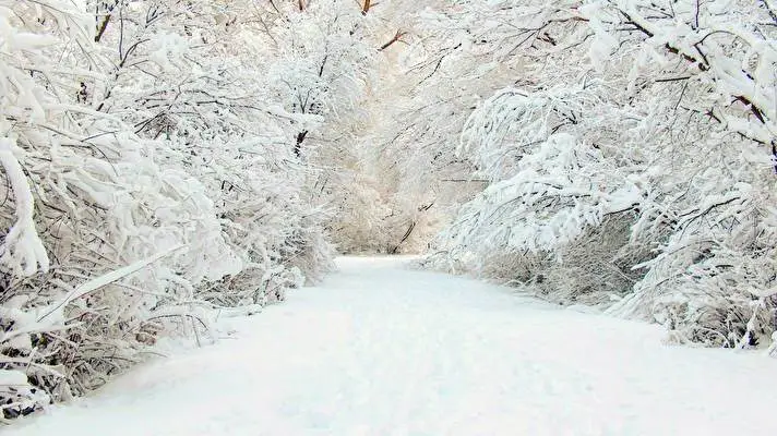 Winter theme for Windows 11 Slideshow image 3