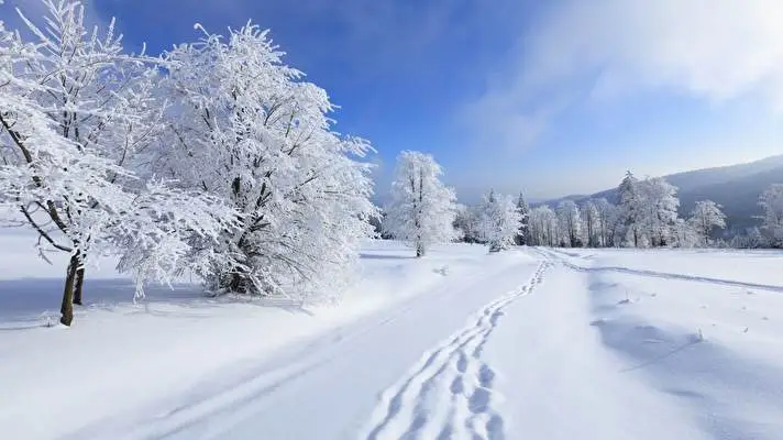 Winter theme for Windows 11 Slideshow image 4