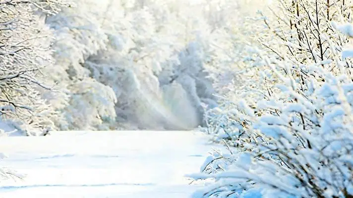 Winter theme for Windows 11 Slideshow image 5